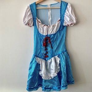 WORN ONCE Dorothy Costume